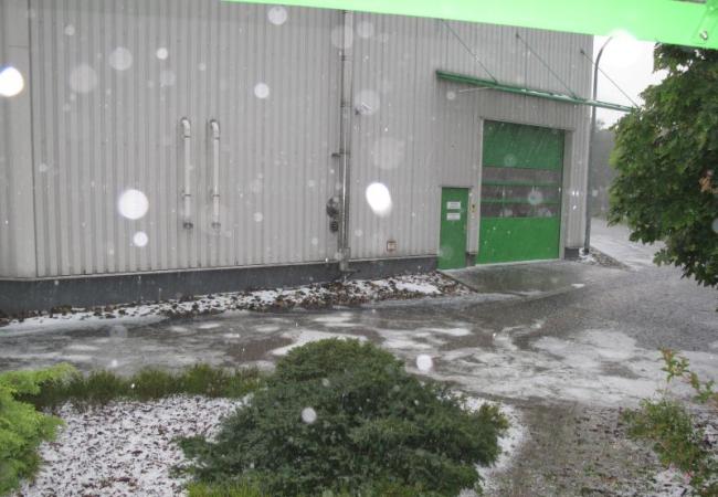 22. Firmenjubiläum von IP Coswig 07/2012